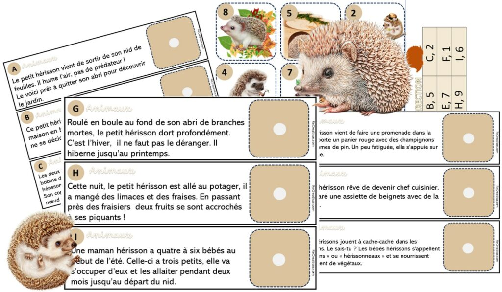 LECTURE Phrases textes et activités ReCreatisse